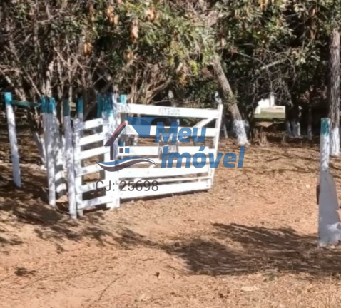 Imóvel com 4 Quartos à Venda, 4 m² em área Rural De Luziânia - Luziânia