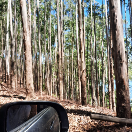 Fazenda à Venda, 100 m² em Lagoa - Paraibuna