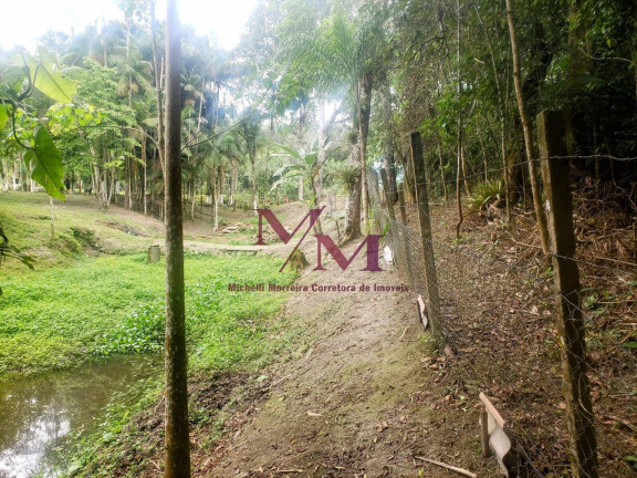 Imagem Chácara com 3 Quartos à Venda, 8.000 m² em Alexandra - Paranaguá
