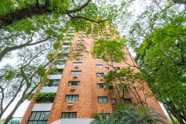 Imagem Imóvel com 4 Quartos à Venda, 236 m² em Morumbi - São Paulo