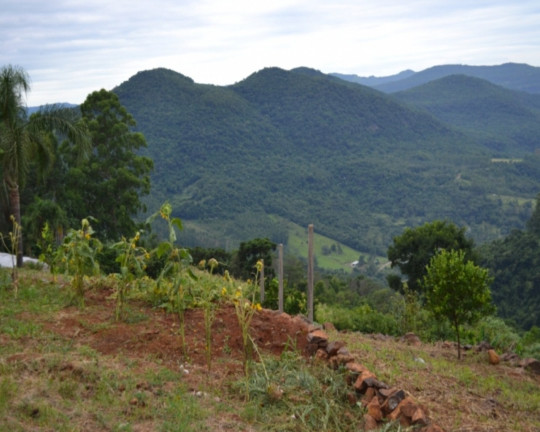 Imagem Imóvel à Venda,  em Serra Verde - Picada Café