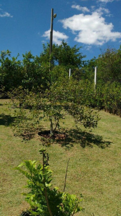 Imagem Casa com 3 Quartos à Venda, 1.200 m² em Outeiro Das Flores-cond. Fechado - Itupeva Imagem Casa com 3 Quartos à Venda, 1.200 m² em Outeiro Das Flores-cond. Fechado - Itupeva