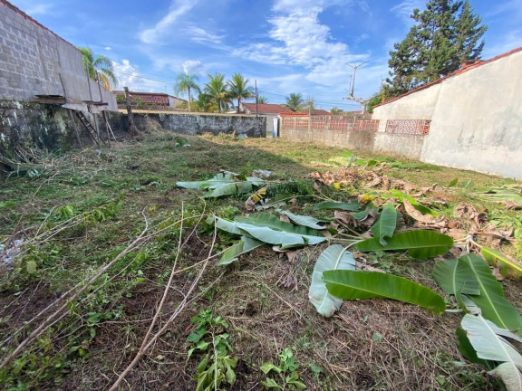 Imagem Terreno à Venda, 260 m² em Jamaica (praia) - Itanhaém