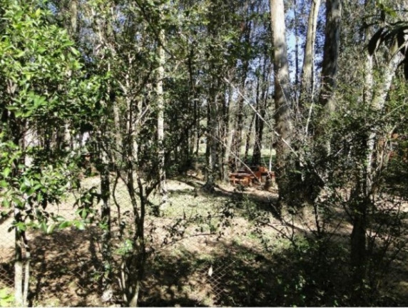 Imagem Imóvel com 3 Quartos à Venda, 480 m² em Condomínio Condado De Castela - Viamão