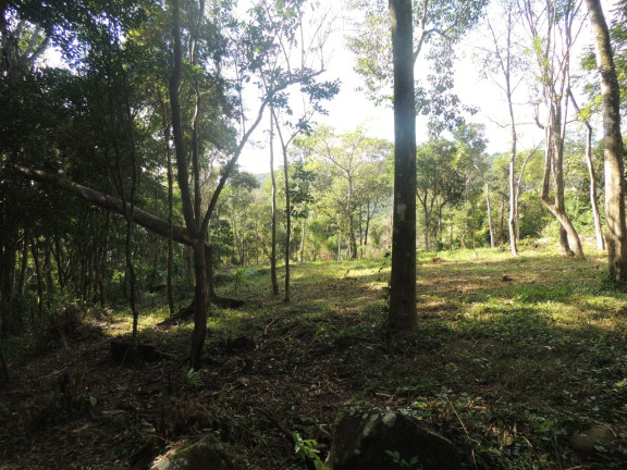 Imagem Terreno à Venda, 20.000 m² em Macacu - Garopaba Imagem Terreno à Venda, 20.000 m² em Macacu - Garopaba