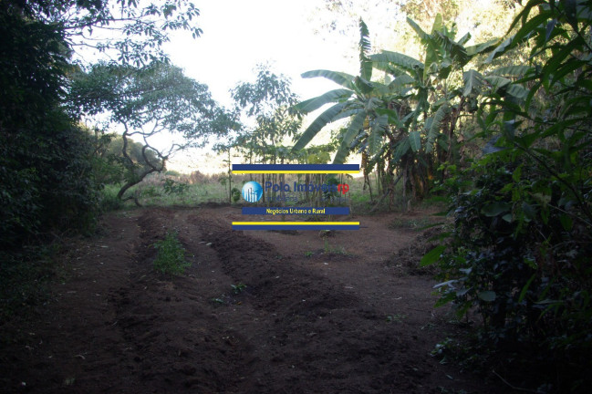 Imagem Imóvel com 1 Quarto à Venda, 19.700 m² em Campestre - Muzambinho Imagem Imóvel com 1 Quarto à Venda, 19.700 m² em Campestre - Muzambinho