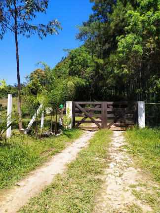Imagem Imóvel com 3 Quartos à Venda, 27.000 m² em Centro - Contenda