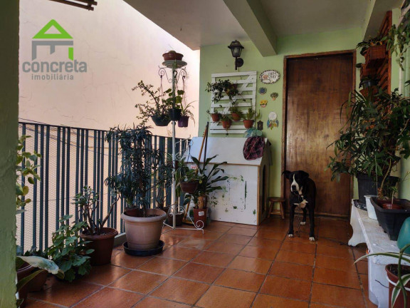 Imagem Casa com 7 Quartos à Venda, 300 m² em Jardim Nomura - Cotia Imagem Casa com 7 Quartos à Venda, 300 m² em Jardim Nomura - Cotia