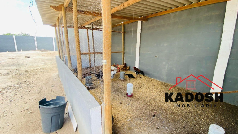 Imagem Imóvel com 4 Quartos à Venda, 200 m² em Ponto Central - Matinha