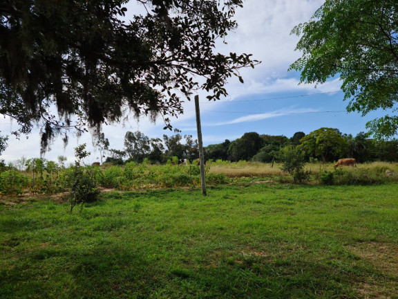 Imagem Chácara com 1 Quarto à Venda, 108.000 m² em Itapuã - Viamão