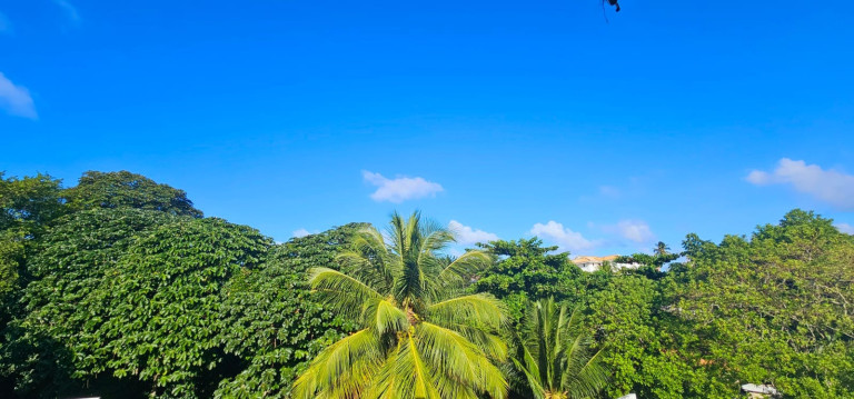 Imagem Casa com 3 Quartos à Venda, 829 m² em Patamares - Salvador Imagem Casa com 3 Quartos à Venda, 829 m² em Patamares - Salvador