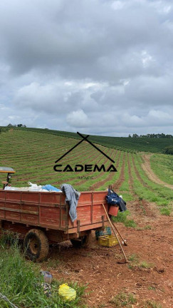 Imagem Fazenda à Venda, 168 m² em Area Rural - Guaxupé Imagem Fazenda à Venda, 168 m² em Area Rural - Guaxupé