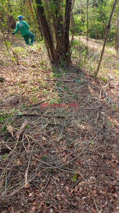 Imagem Terreno à Venda,  em Parque Dos Resedás - Itupeva