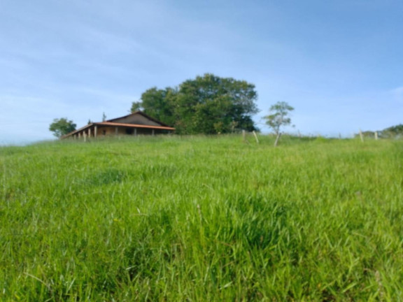 Imagem Chácara à Venda, 16 m² em Rural - Itapetininga Imagem Chácara à Venda, 16 m² em Rural - Itapetininga