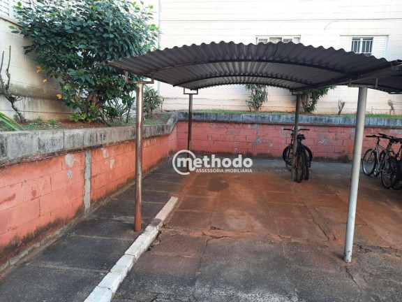 Imagem Apartamento com 2 Quartos à Venda, 77 m² em Vila Mimosa - Campinas Imagem Apartamento com 2 Quartos à Venda, 77 m² em Vila Mimosa - Campinas