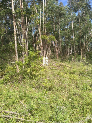 Imagem Imóvel à Venda, 100.000.000 m² em Etelvina - Itaara
