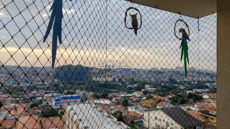 Imagem Apartamento com 2 Quartos à Venda, 56 m² em Vila Pirajussara - São Paulo Imagem Apartamento com 2 Quartos à Venda, 56 m² em Vila Pirajussara - São Paulo