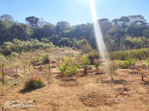 Imagem Chácara à Venda,  em Bairro Do Paruru - Ibiúna
