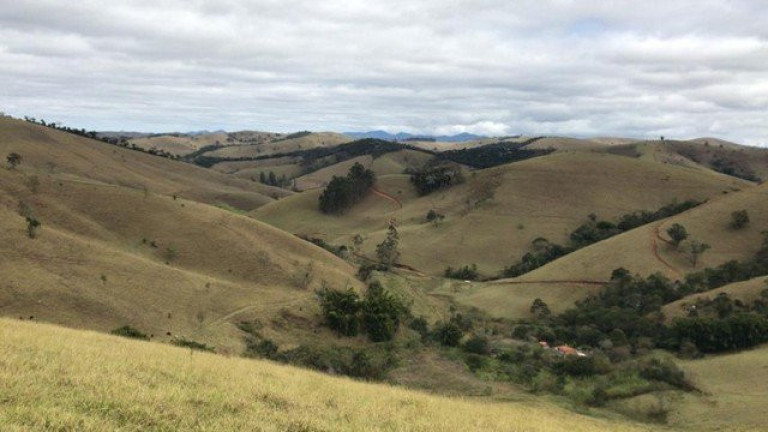 Imagem Fazenda à Venda, 5.000 m² em Cunha Imagem Fazenda à Venda, 5.000 m² em Cunha