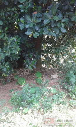 Imagem Terreno à Venda, 385 m² em Novo Osasco - Osasco