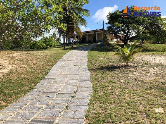Imagem Chácara com 2 Quartos à Venda, 150 m² em Balbino - Cascavel