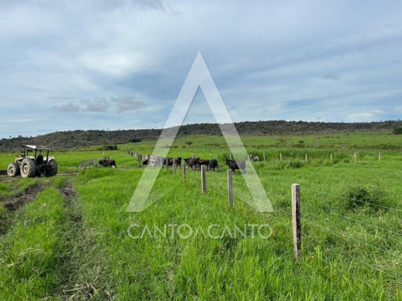 Imóvel à Venda, 150 m² em Zona Rural - Nova Monte Verde