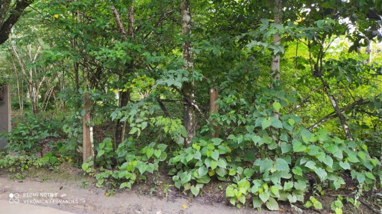 Imagem Terreno à Venda, 5.000 m² em Aldeia Dos Camarás - Camaragibe