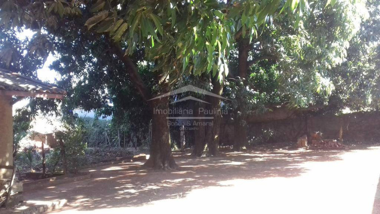 Imagem Chácara com 3 Quartos à Venda, 4.000 m² em Santa Terezinha - Paulínia Imagem Chácara com 3 Quartos à Venda, 4.000 m² em Santa Terezinha - Paulínia