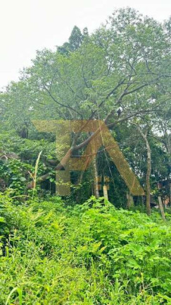 Imagem Terreno à Venda, em Ibiraquera - Imbituba Imagem Terreno à Venda, em Ibiraquera - Imbituba
