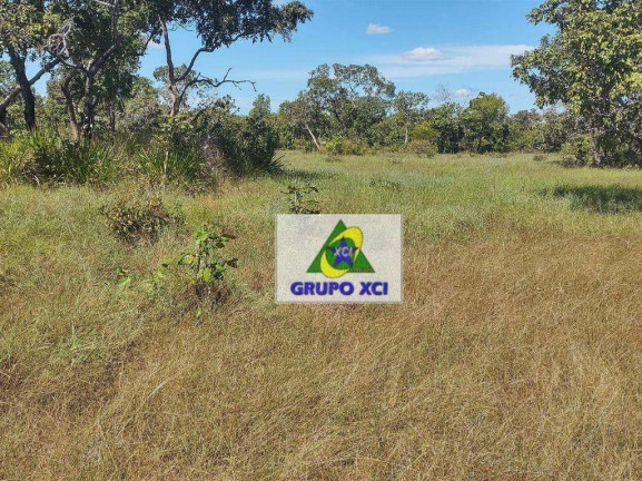 Imagem Fazenda à Venda, 135.000.000 m² em Centro - Ribeirão Cascalheira