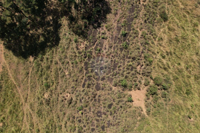 Imagem Fazenda à Venda, 82.000 m² em Centro - Acorizal