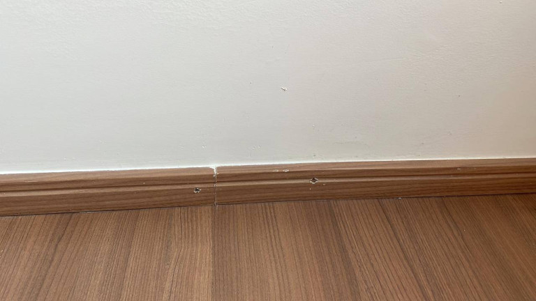 Imagem Apartamento com 2 Quartos à Venda, em Jardim Nova Europa - Campinas Imagem Apartamento com 2 Quartos à Venda, em Jardim Nova Europa - Campinas