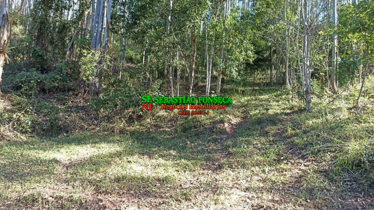 Imagem Chácara à Venda, 2 m² em Centro - Paraibuna Imagem Chácara à Venda, 2 m² em Centro - Paraibuna
