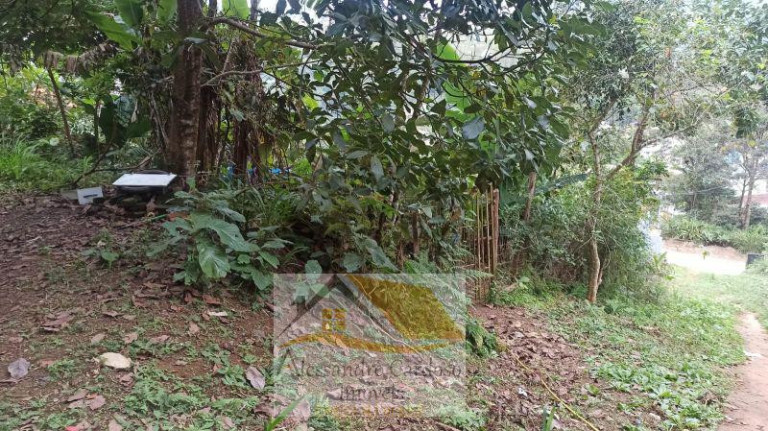 Terreno à Venda, 7.800 m² em Varginha - Nova Friburgo