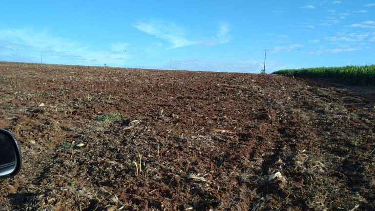 Imagem Fazenda à Venda, 54 m² em Itai - Itaí Imagem Fazenda à Venda, 54 m² em Itai - Itaí