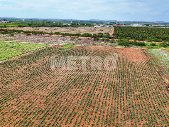 Imagem Fazenda à Venda, em área Rual - Petrolina Imagem Fazenda à Venda, em área Rual - Petrolina