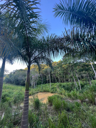 Imagem Chácara com 3 Quartos à Venda, 348.600 m² em Centro - Juquiá Imagem Chácara com 3 Quartos à Venda, 348.600 m² em Centro - Juquiá