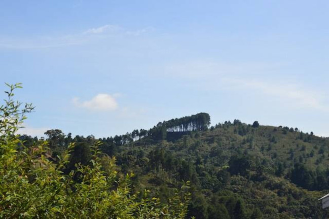 Imagem Terreno à Venda, 75 m² em Vale Encantado - Campos Do Jordão Imagem Terreno à Venda, 75 m² em Vale Encantado - Campos Do Jordão