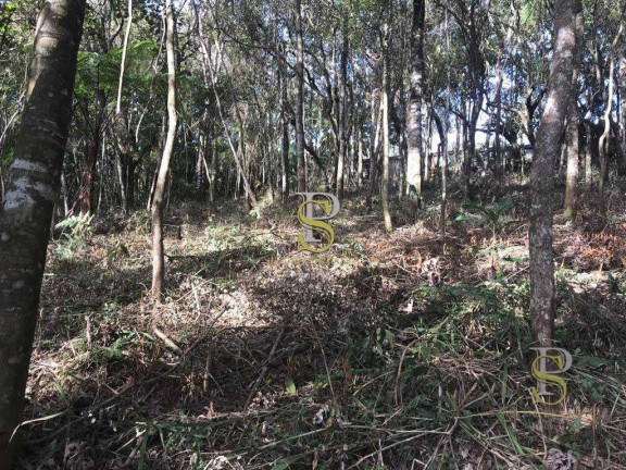 Imagem Terreno à Venda, 1.500 m² em Mairiporã - Mairiporã Imagem Terreno à Venda, 1.500 m² em Mairiporã - Mairiporã