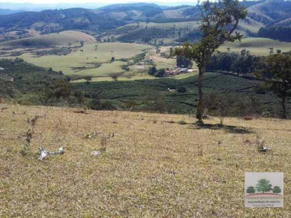 Imagem Fazenda à Venda, 2.000 m² em Centro - Campanha Imagem Fazenda à Venda, 2.000 m² em Centro - Campanha