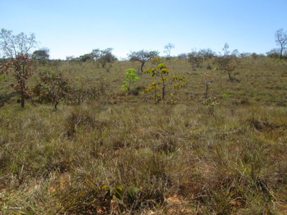 Imagem Terreno à Venda, 2.000 m² em Pompeu - Pompéu Imagem Terreno à Venda, 2.000 m² em Pompeu - Pompéu