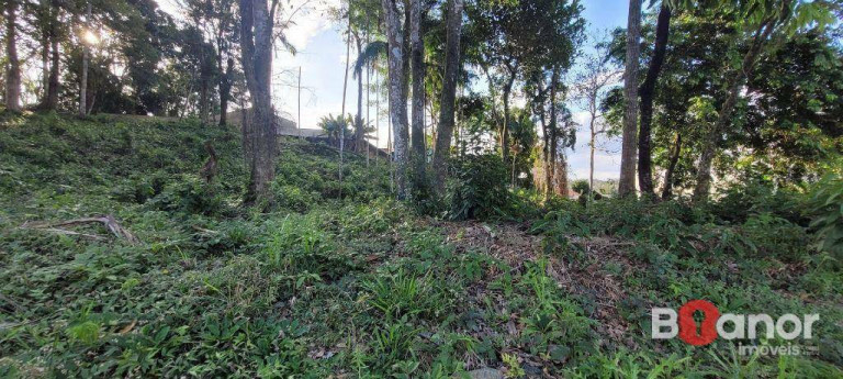 Imagem Terreno à Venda, 594 m² em Escola Agrícola - Blumenau Imagem Terreno à Venda, 594 m² em Escola Agrícola - Blumenau