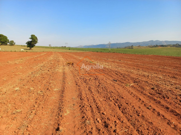 Imagem Imóvel com 1 Quarto à Venda,  em Rural - Jacutinga