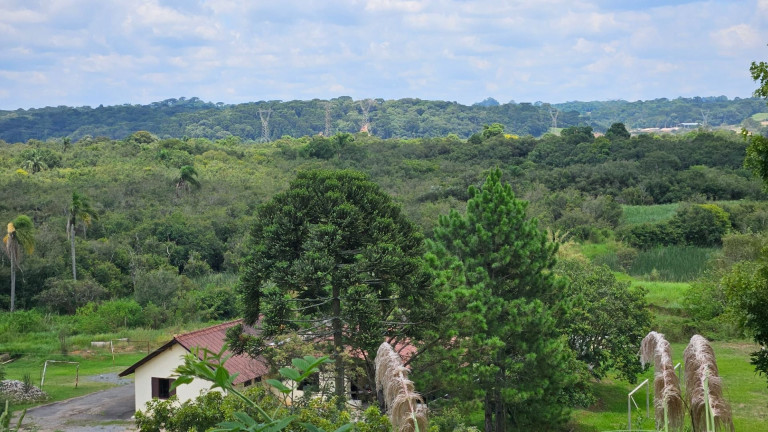 Imagem Fazenda à Venda, em Iguaçu - Araucaria Imagem Fazenda à Venda, em Iguaçu - Araucaria