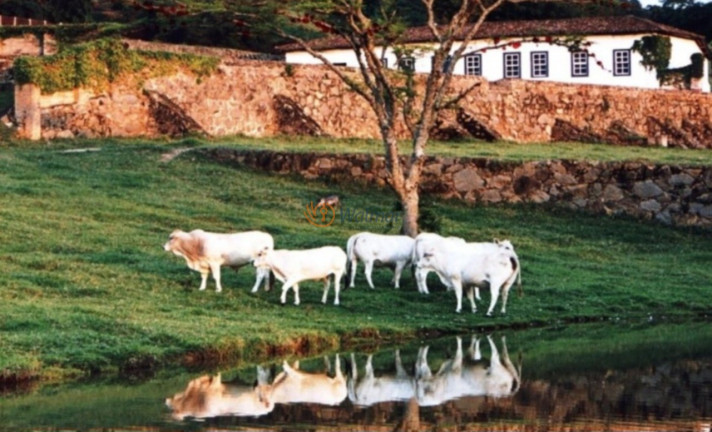 Imóvel com 16 Quartos à Venda, 550 m² em Zona Rural - Pedreira