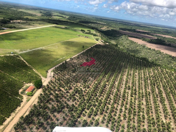 Fazenda à Venda, 600 m² em Caraíva - Porto Seguro
