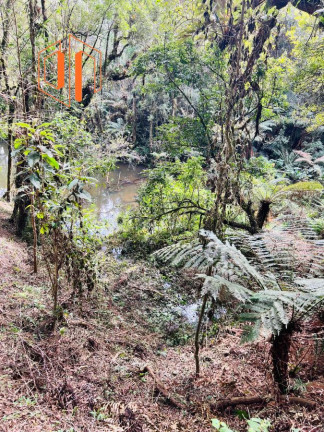 Imagem Imóvel à Venda, 10.000 m² em Contenda - São José Dos Pinhais