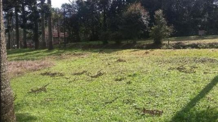 Imagem Terreno à Venda, em Campo Do Meio - Campo Largo Imagem Terreno à Venda, em Campo Do Meio - Campo Largo