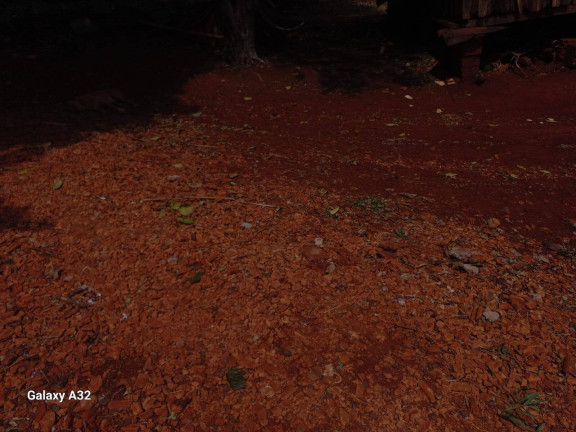 Imagem Chácara com 3 Quartos à Venda, 42.000 m² em Arapongas Imagem Chácara com 3 Quartos à Venda, 42.000 m² em Arapongas