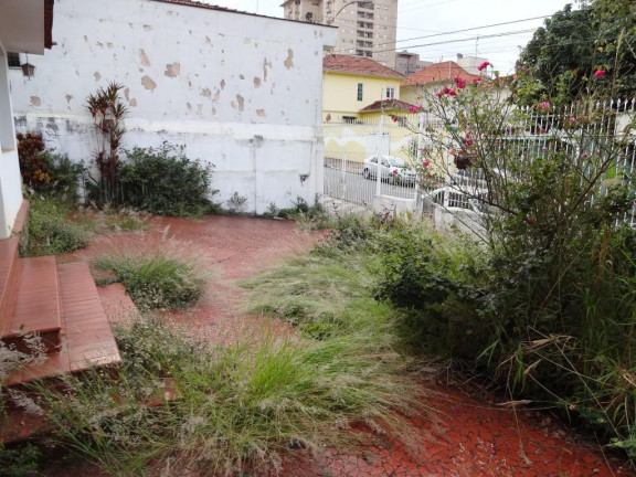 Imagem Casa com 5 Quartos à Venda, 450 m² em Centro - Piracicaba Imagem Casa com 5 Quartos à Venda, 450 m² em Centro - Piracicaba